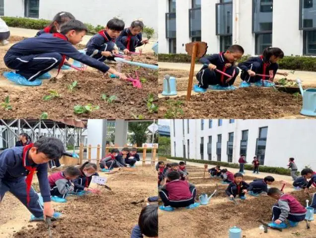 篮球教练如何为不同年龄段的球员制定战术训练方案?_0